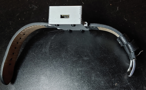 A silver plastic box with a leather strap. There is a USB port in the side, and black nylon bolts screwed into the bottom.
